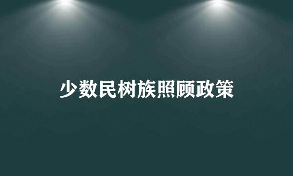 少数民树族照顾政策
