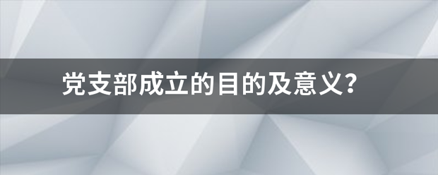 党支部成立的目的及意义？