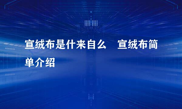 宣绒布是什来自么 宣绒布简单介绍