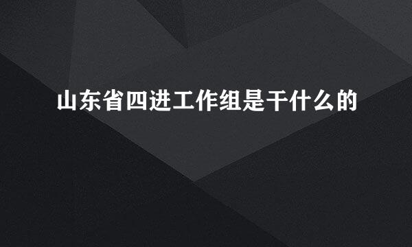 山东省四进工作组是干什么的