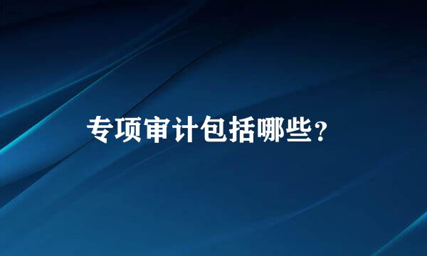专项审计包括哪些？