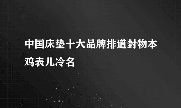 中国床垫十大品牌排道封物本鸡表儿冷名