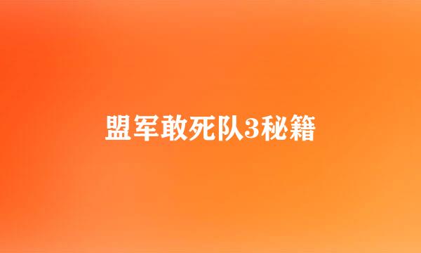 盟军敢死队3秘籍