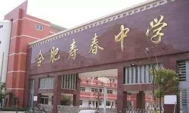 新站寿春2020年中考成绩如何?