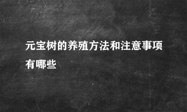 元宝树的养殖方法和注意事项有哪些