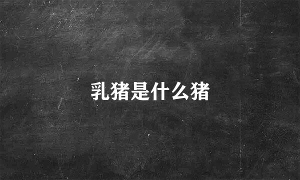 乳猪是什么猪