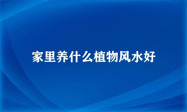 家里养什么植物风水好
