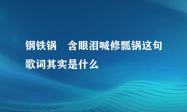 钢铁锅 含眼泪喊修瓢锅这句歌词其实是什么