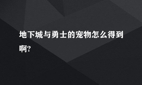 地下城与勇士的宠物怎么得到啊?