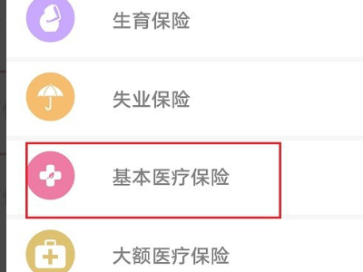 大学生医保在哪里查询