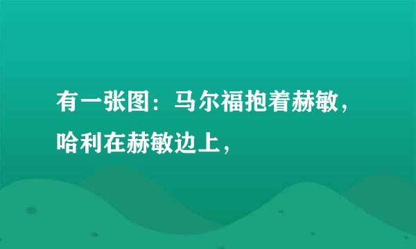 有一张图：马尔福抱着赫敏，哈利在赫敏边上，