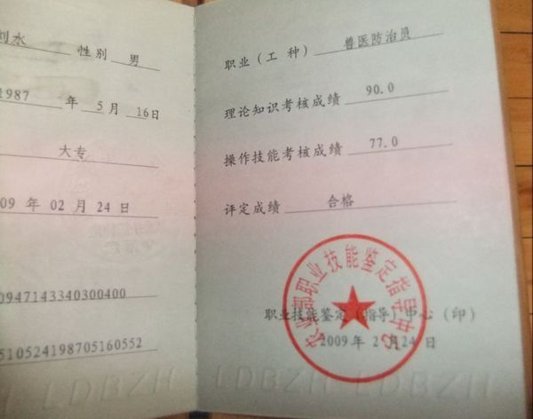 GSP上岗证是什么?
