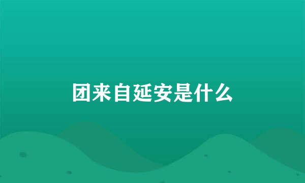 团来自延安是什么