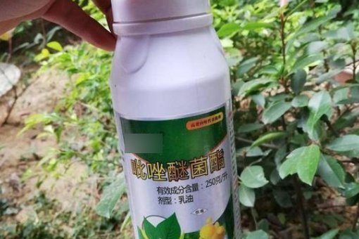 吡唑真治操皇角醚菌酯的作用和用途是什么?