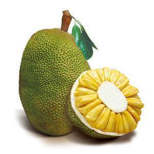 菠萝蜜和榴莲有什么区别？