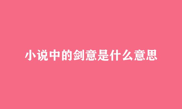 小说中的剑意是什么意思