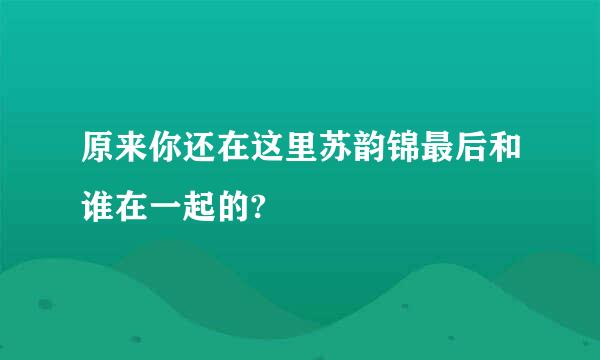 原来你还在这里苏韵锦最后和谁在一起的?