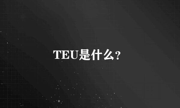 TEU是什么？