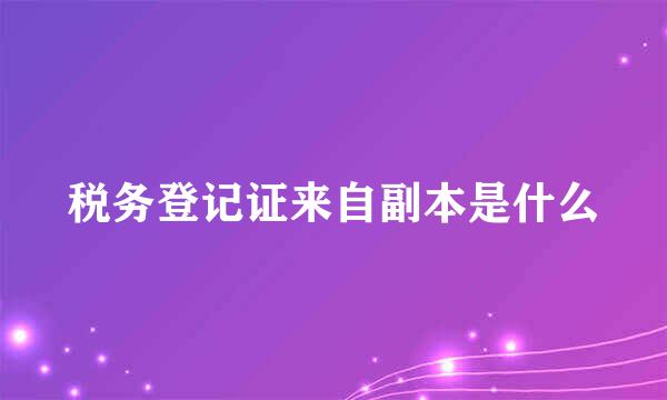 税务登记证来自副本是什么