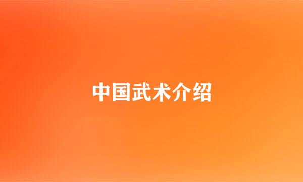 中国武术介绍