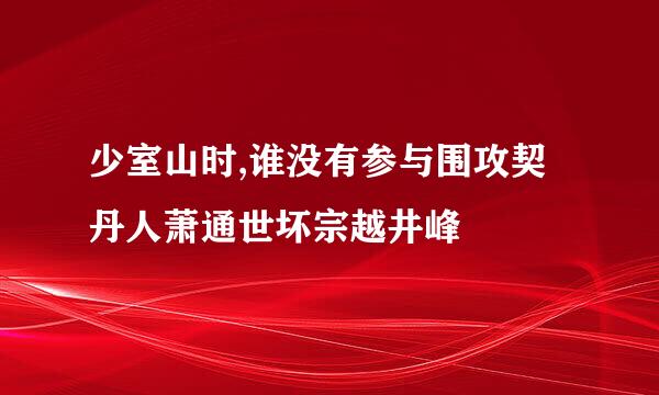 少室山时,谁没有参与围攻契丹人萧通世坏宗越井峰