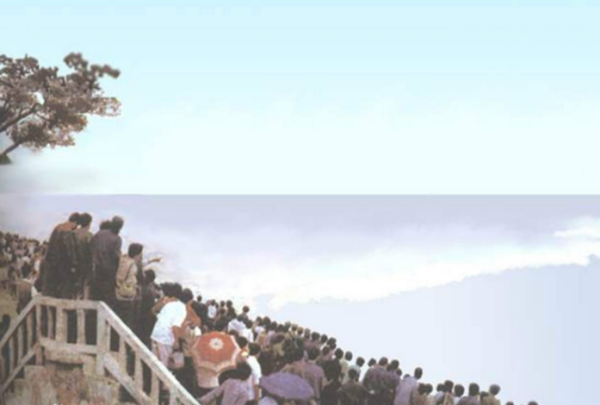 赵细宗成的简介