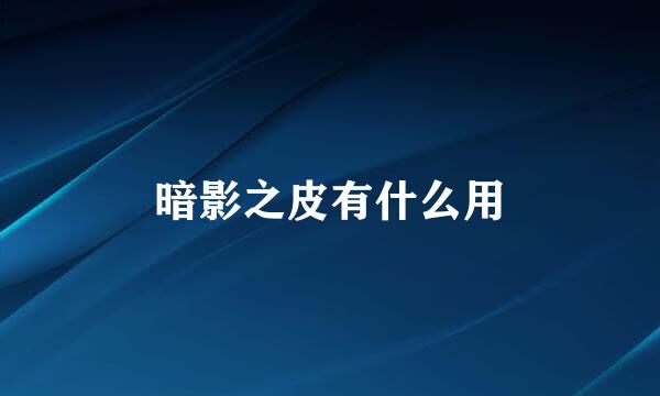 暗影之皮有什么用