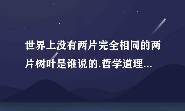 世界上没有两片完全相同的两片树叶是谁说的.哲学道理是什么.典故