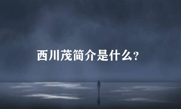 西川茂简介是什么？