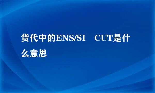货代中的ENS/SI CUT是什么意思