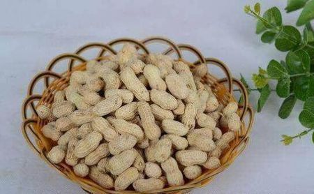 花生有哪些好处和副作用?