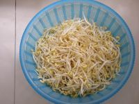 炒黄豆芽怎么做好吃