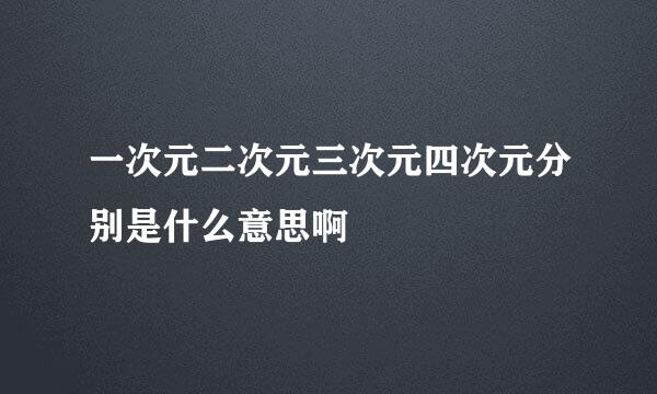 一次元二次元三次元四次元分别是什么意思啊
