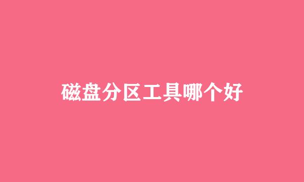 磁盘分区工具哪个好