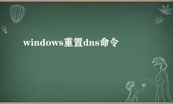 windows重置dns命令