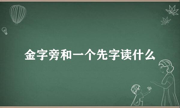 金字旁和一个先字读什么