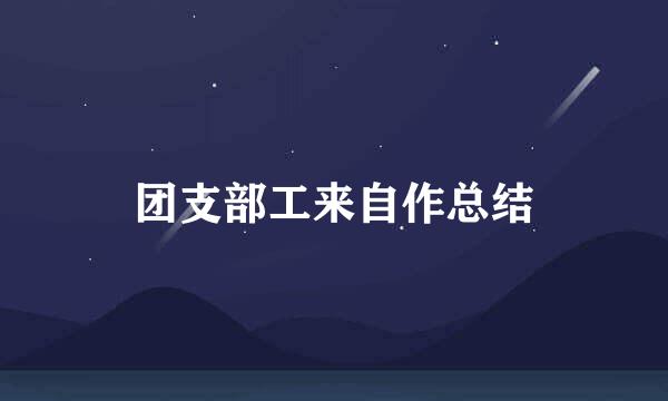 团支部工来自作总结