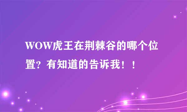 WOW虎王在荆棘谷的哪个位置？有知道的告诉我！！