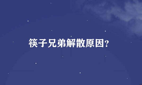 筷子兄弟解散原因？