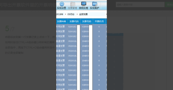 如何导出开票系统里的开票信息及明细