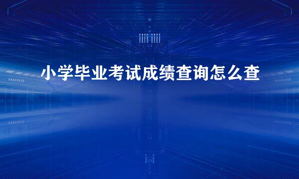 小学毕业考试成绩查询怎么查