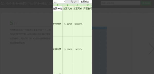 如何导出开票系统里的开票信息及明细