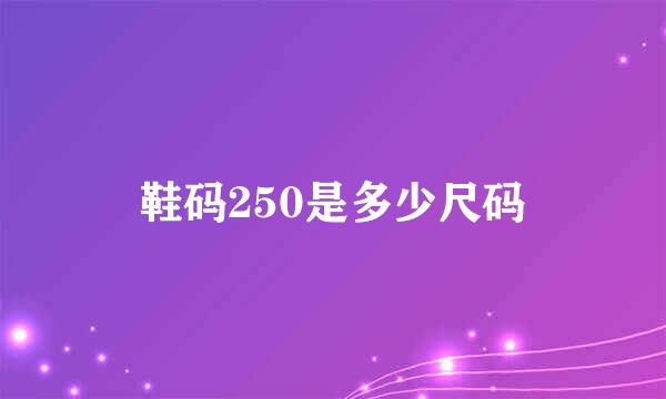 鞋码250是多少尺码