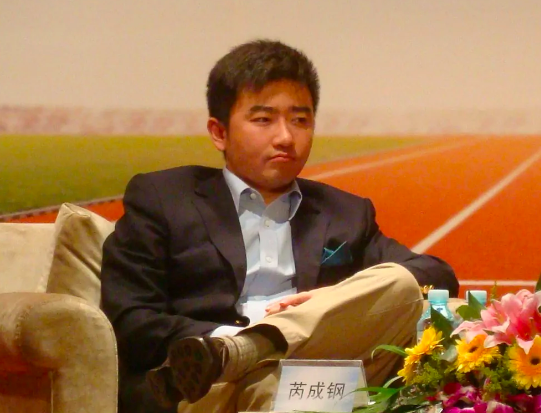 芮成钢犯了什么罪 芮成钢为什么被抓