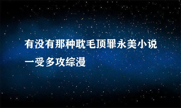 有没有那种耽毛顶罪永美小说一受多攻综漫