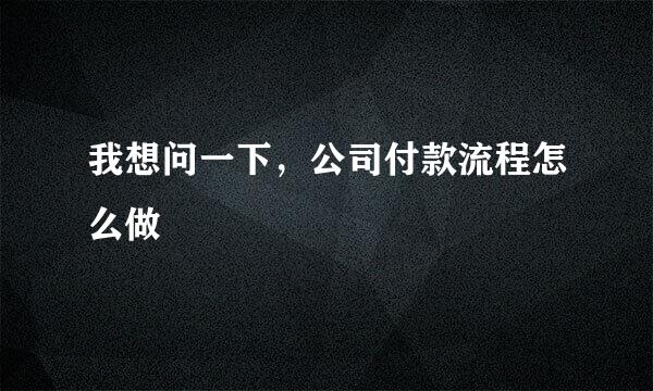 我想问一下，公司付款流程怎么做