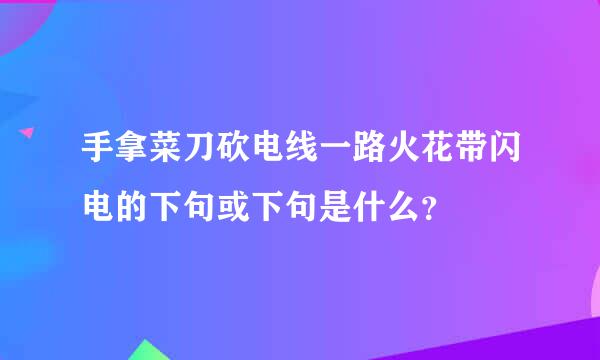 手拿菜刀砍电线一路火花带闪电的下句或下句是什么？