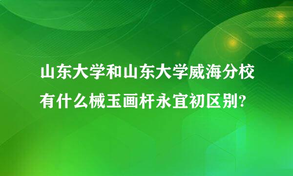山东大学和山东大学威海分校有什么械玉画杆永宜初区别?