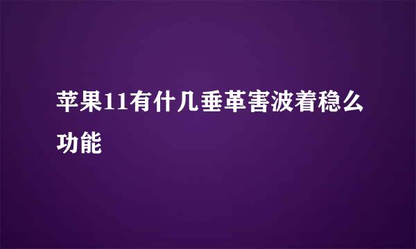 苹果11有什几垂革害波着稳么功能