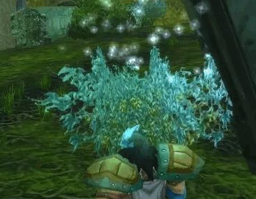 魔兽来自世界 联盟 萨满的 水之召唤任360问答务